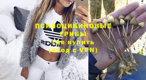 стафф Алексеевка