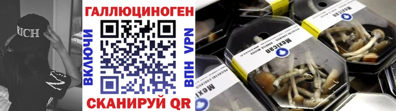 Псилоцибиновые грибы мицелий  купить наркотики сайты  Бердск 